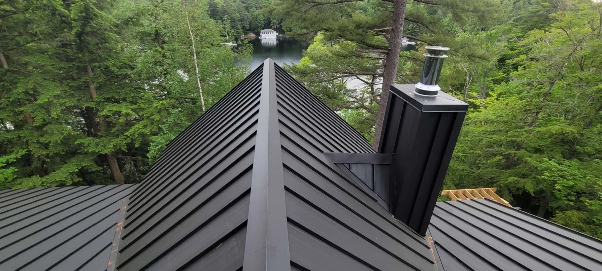 Metal roof ridge and chimney among trees