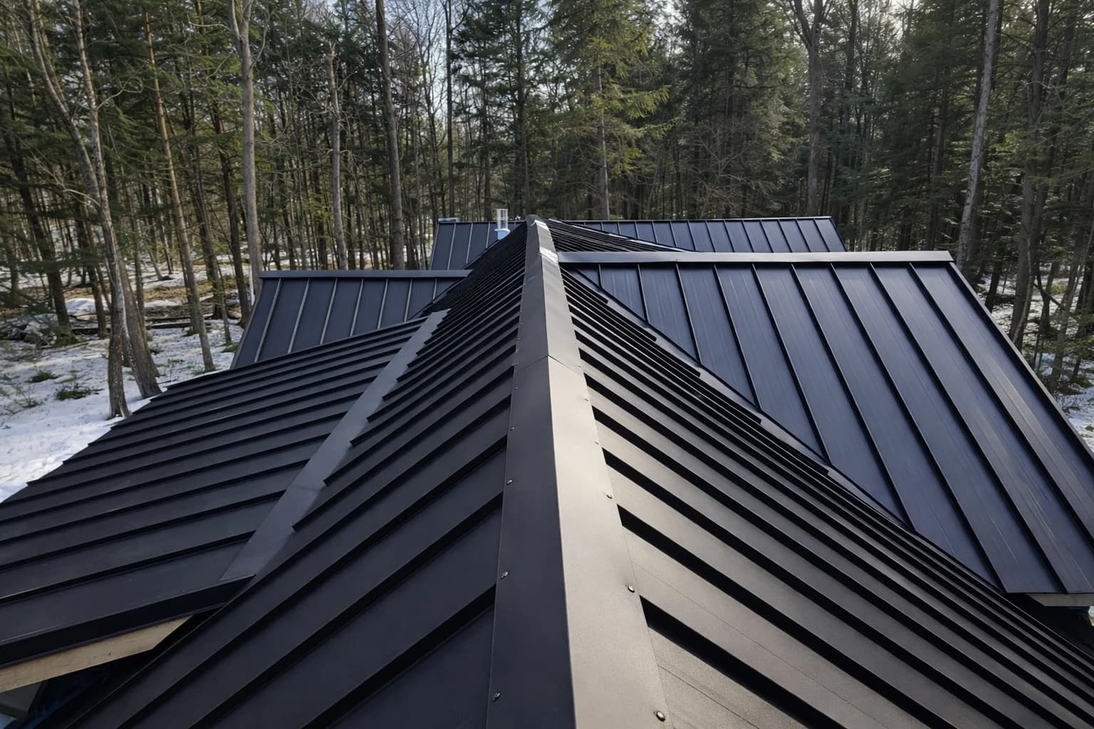 Dark standing seam roof ridge framed by winter woodland